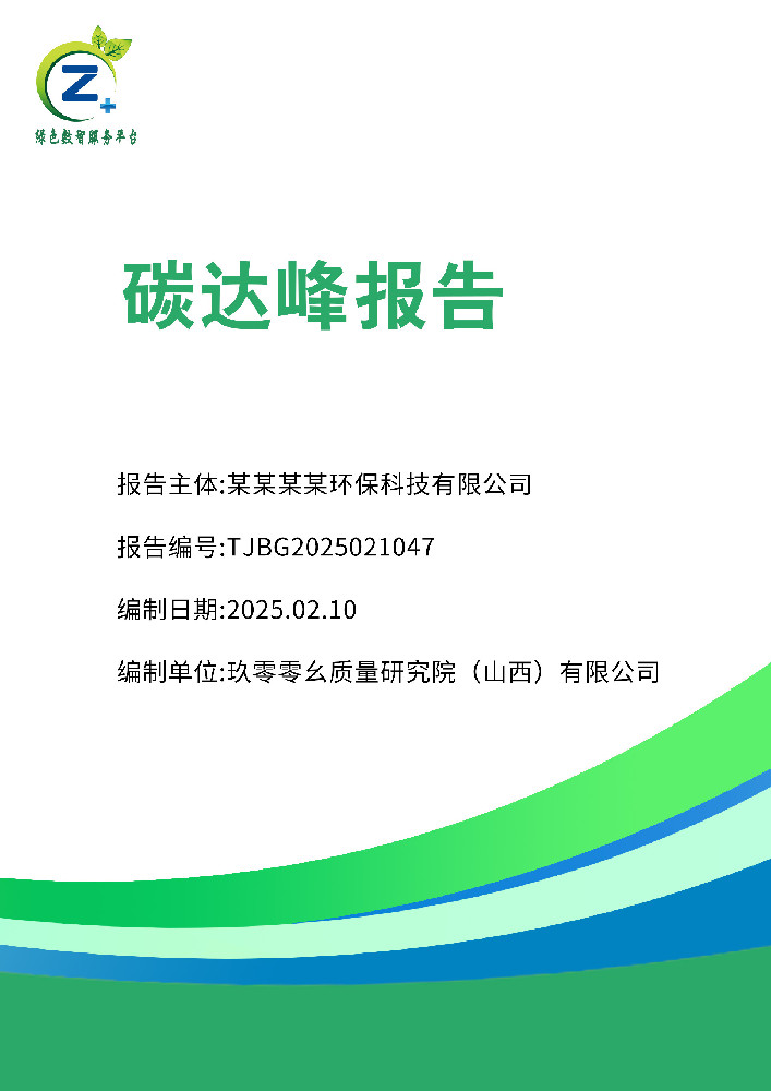 碳达峰报告