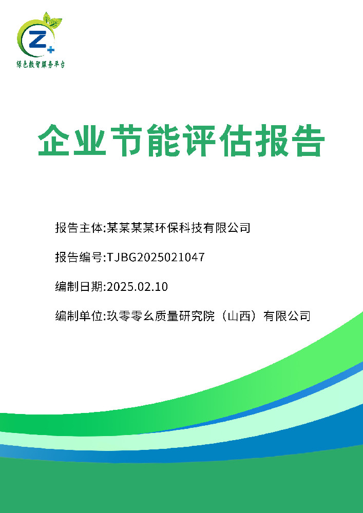 企业节能评估报告