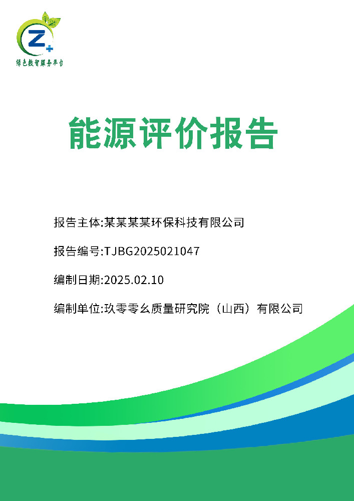 能源评价报告