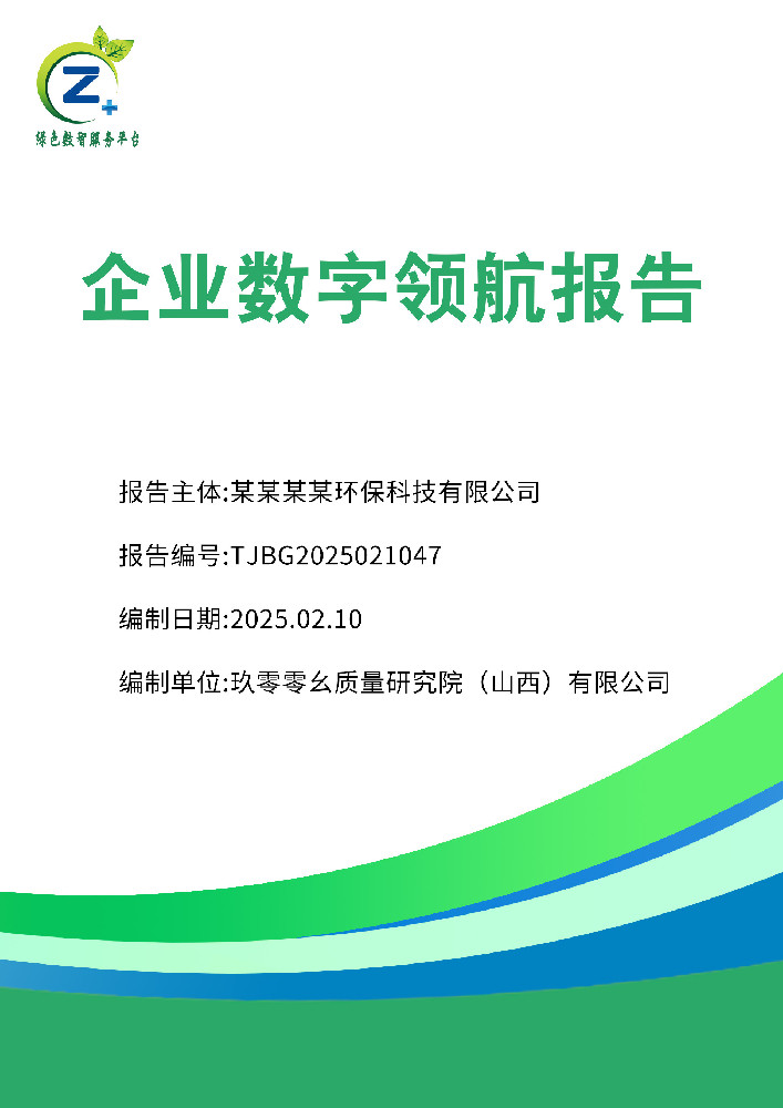 企业数字领航报告