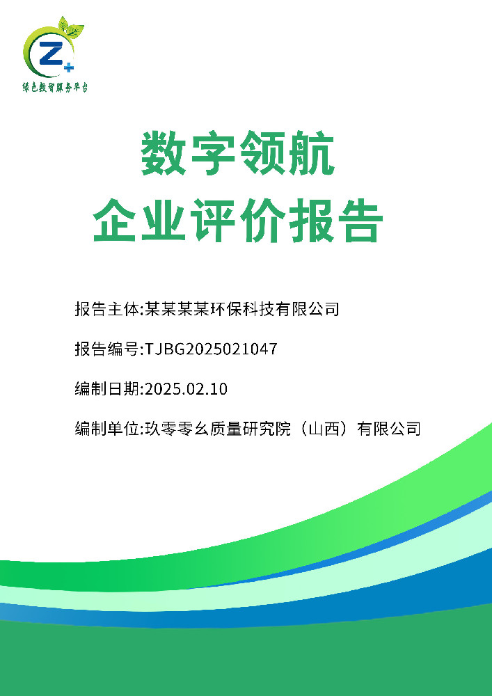 数字领航企业评价报告